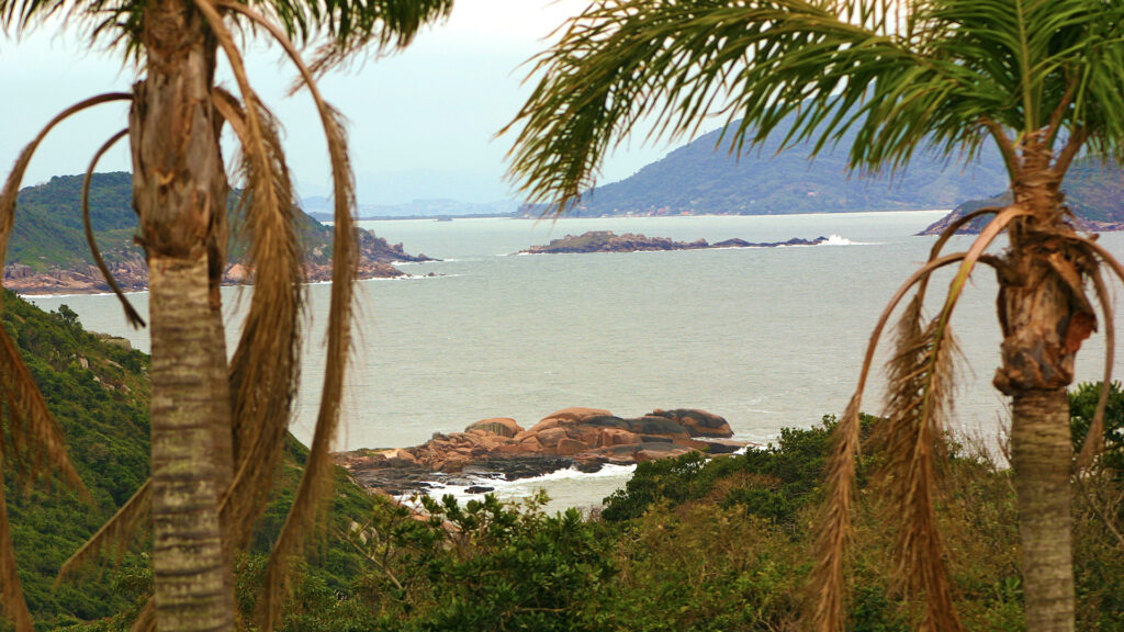 coqueiros