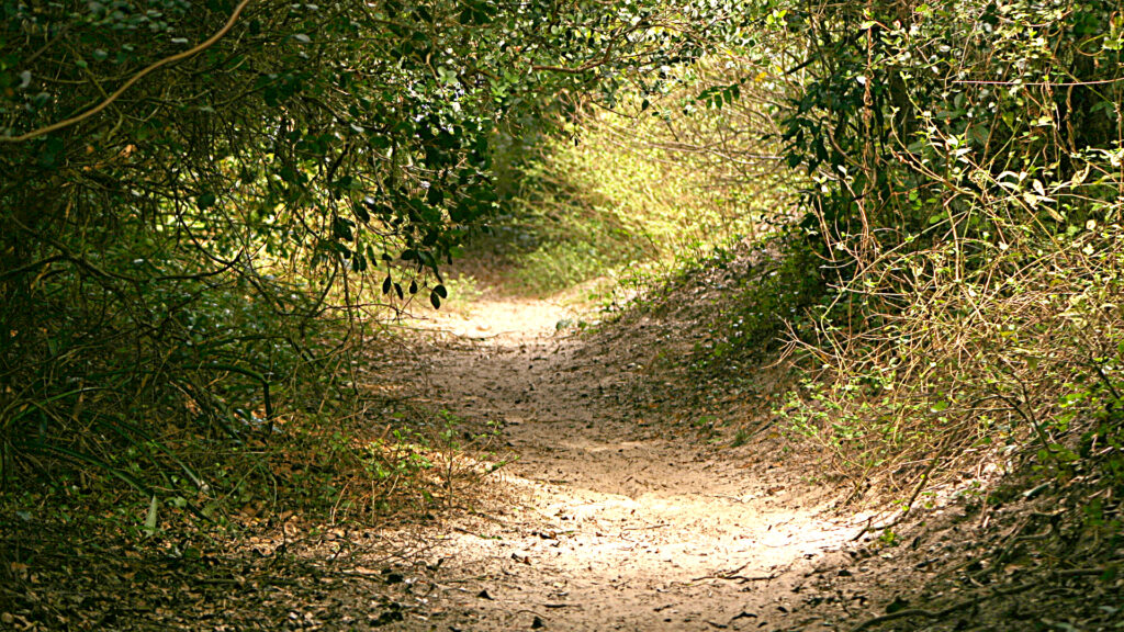 cumbata