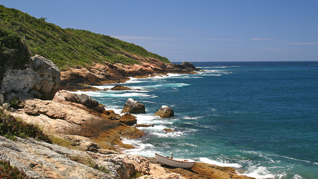 ilha coral 7